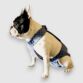 french bulldog dog diaper