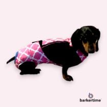 dachshund weiner dog diaper