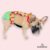 french bulldog dog diaper