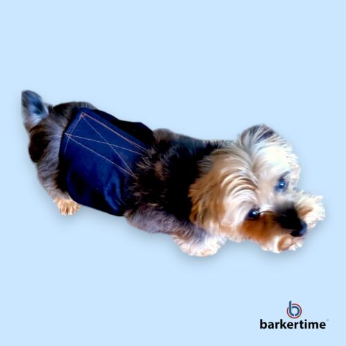 yorkie dog diaper belly band