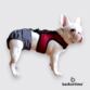 french bulldog dog diaper