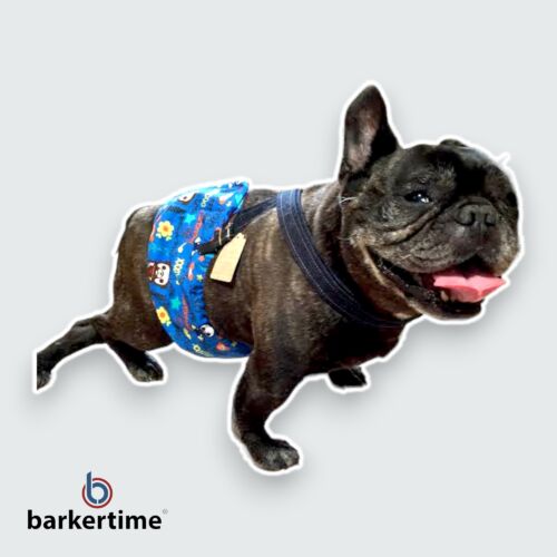 french bulldog dog belly band male wrap