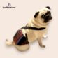 PUG DOG BELLY BAND