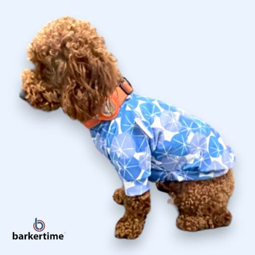 sapphire starbust dog shirt - quincy 2 dog shirt