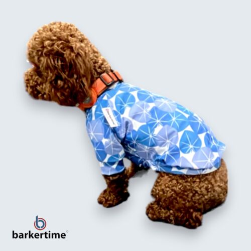 sapphire starbust dog shirt - quincy 4 dog shirt