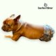 french bulldog dog diaper