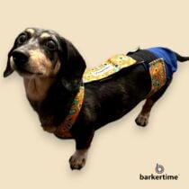 dachshund dog diaper