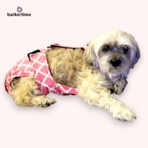 maltese poodle dog diaper