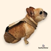 french bulldog dog diaper