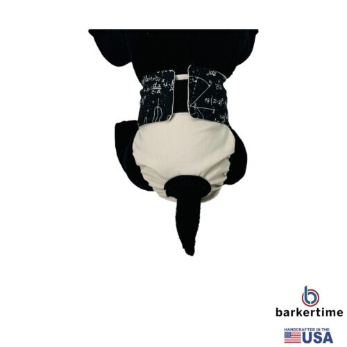 mathematical muse diaper - model 2 mathematical muse diaper - model 2