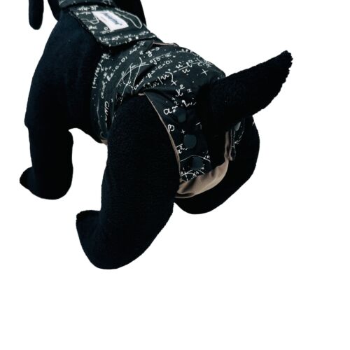 mathematical muse diaper snappy overall - model 3 mathematical muse diaper snappy overall - model 3