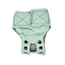 Minty Kisses Dog Diaper Snappy