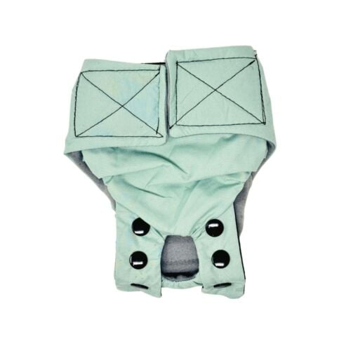 minty kisses snappy diaper