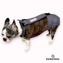 boston terrier dog diaper