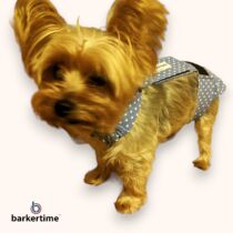 yorkie dog diaper