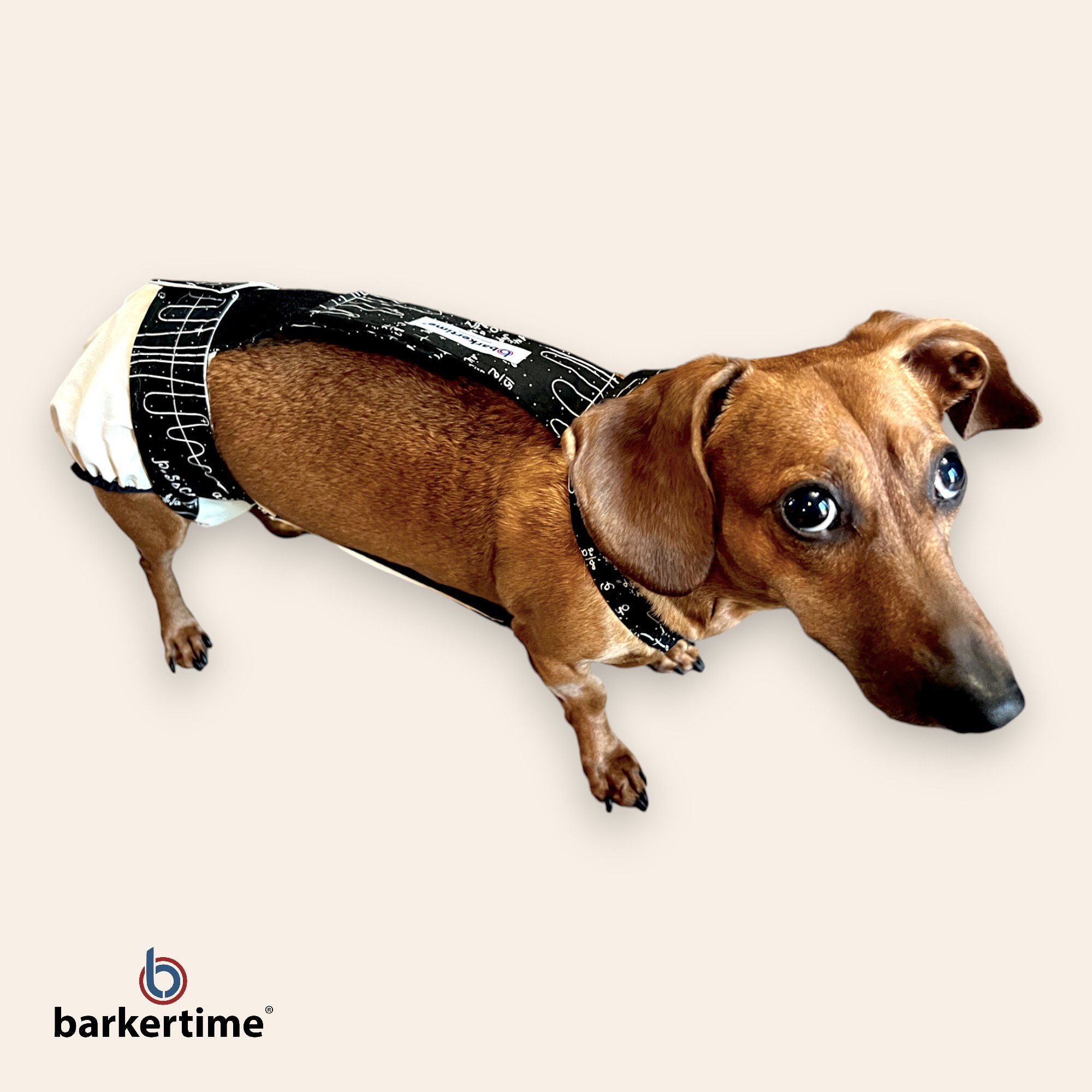 Barkertime Denim Premium Waterproof Dog Diaper for Male and Female Dogs