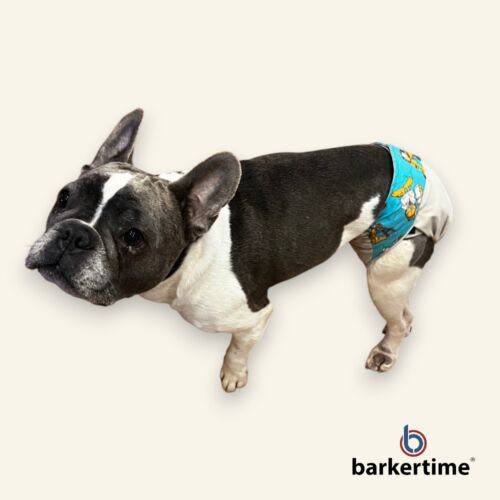 french bulldog dog diaper