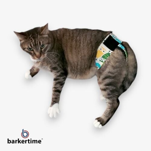 cat diaper