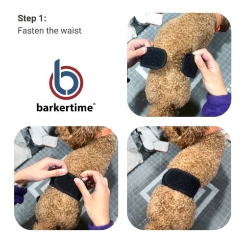 diaper pull-up step 1 diaper pull-up step 1