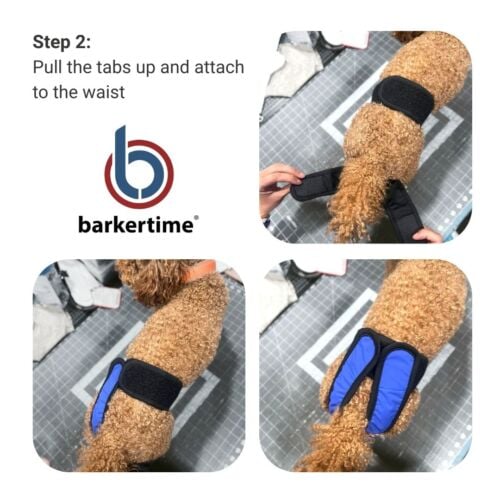 diaper pull-up step 2 diaper pull-up step 2