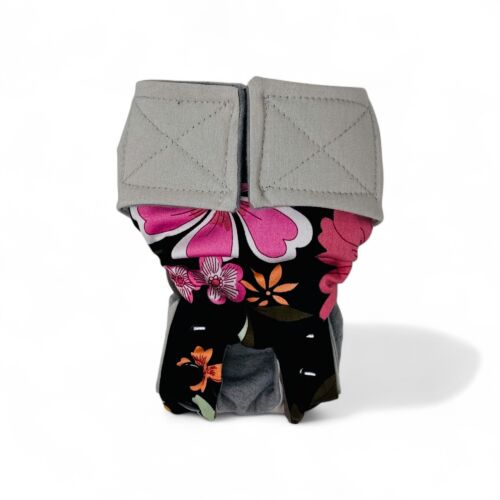 botanipop snappy on frosty cream botanipop snappy on frosty cream