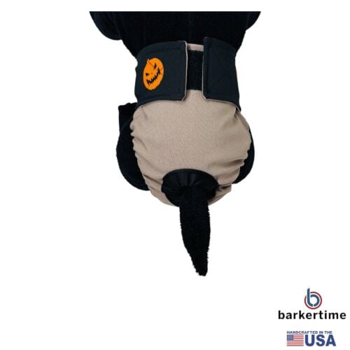 jack-o-sassy diaper - model 2 jack-o-sassy diaper - model 2