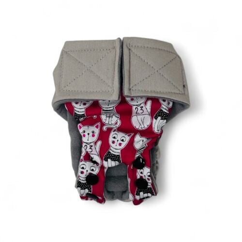 meowgical mischief snappy on frosty cream meowgical mischief snappy on frosty cream