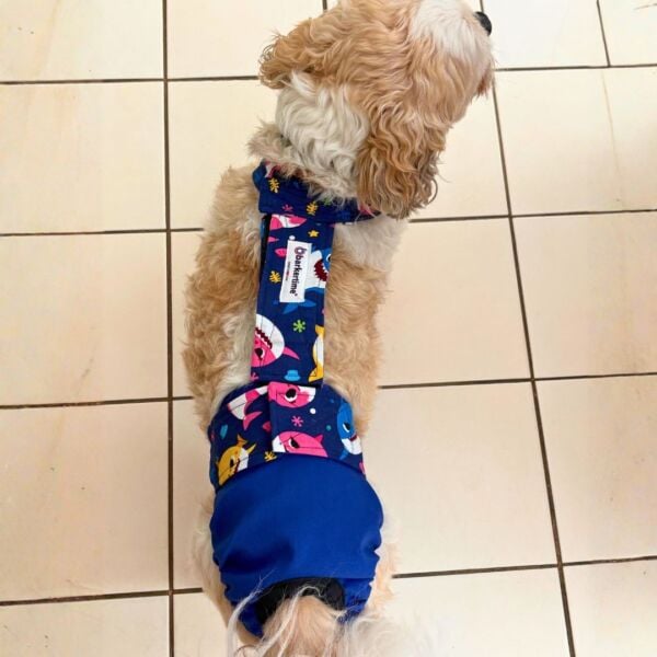 shihtzu dog diaper