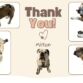 english bulldog dog diaper