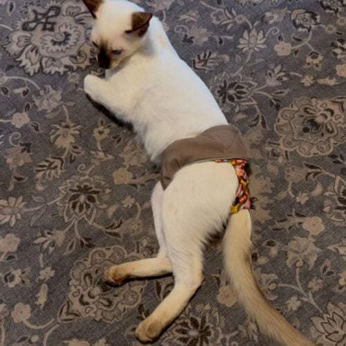 Titus and Theo 1 Titus and Theo 1